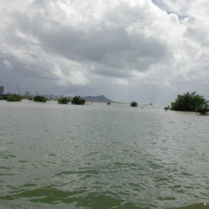 dscn1090.jpg