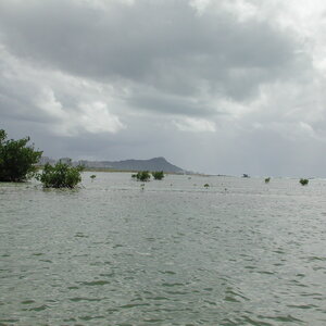 dscn1091.jpg