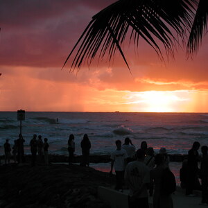 dscn1097.jpg