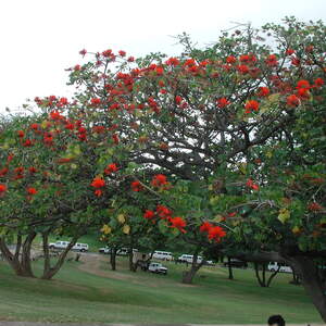 dscn0934.jpg