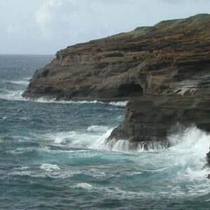 dscn0935.jpg