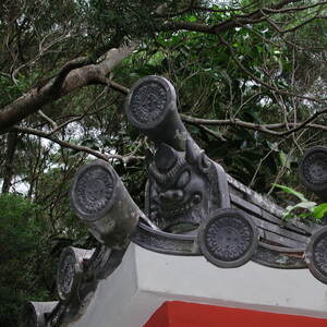 dscn0958.jpg