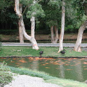 dscn0959.jpg