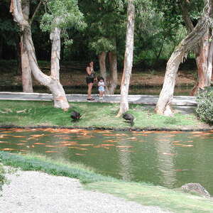 dscn0960.jpg