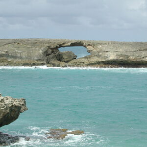dscn0966.jpg