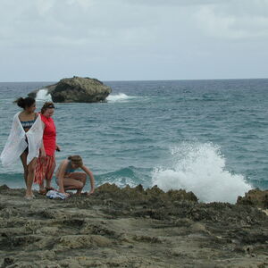 dscn0968.jpg