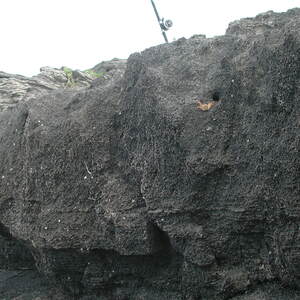 dscn0969.jpg