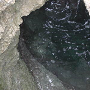 dscn0971.jpg