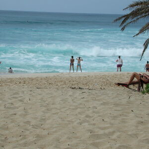 dscn0973.jpg