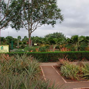 dscn0978.jpg