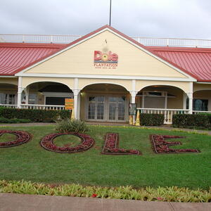 dscn0979.jpg