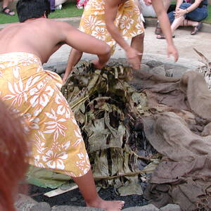 dscn1011.jpg