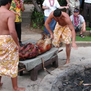 dscn1013.jpg