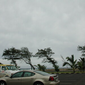 dscn1053.jpg