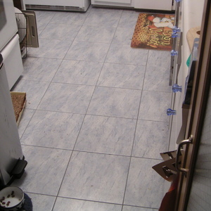 PICT0128.jpg