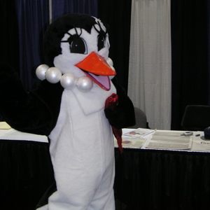 pict0156.jpg