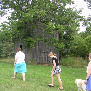 pict0014.jpg