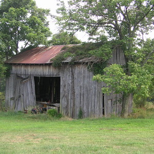 pict0015.jpg