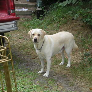 pict0021.jpg