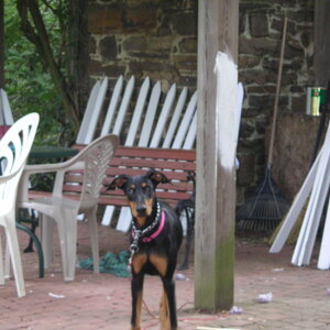 pict0022.jpg