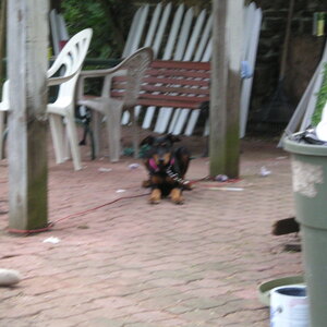 pict0023.jpg