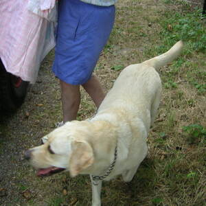 pict0024.jpg