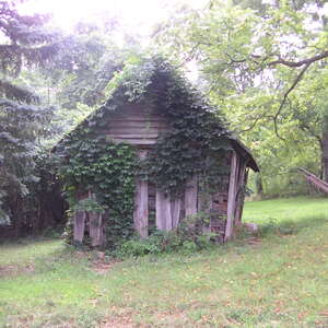 pict0027.jpg