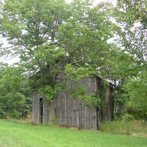 pict0029.jpg