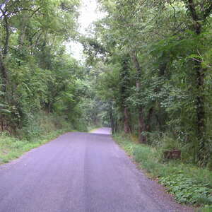 pict0033.jpg