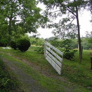 pict0034.jpg
