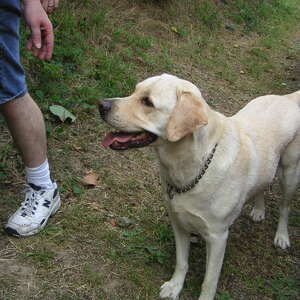 pict0037.jpg