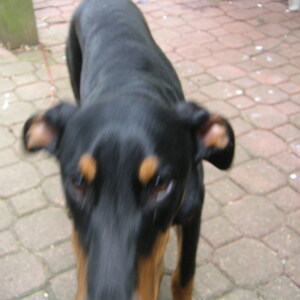 pict0038.jpg