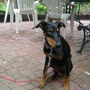 pict0039.jpg