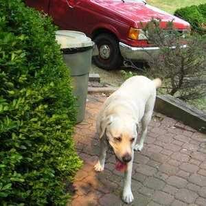 pict0040.jpg