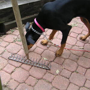 pict0041.jpg