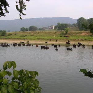 pict0042.jpg