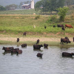 pict0043.jpg