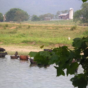 pict0044.jpg