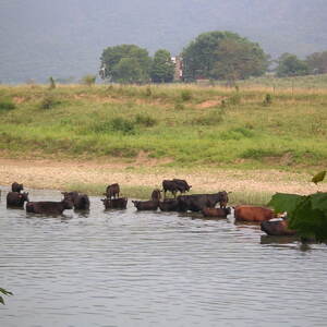 pict0045.jpg