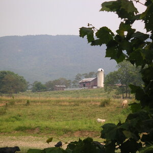 pict0046.jpg