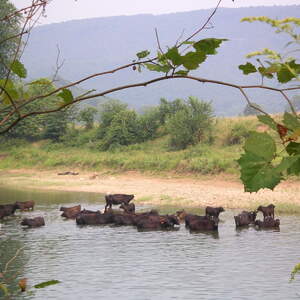 pict0048.jpg