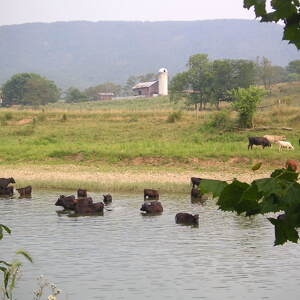 pict0050.jpg