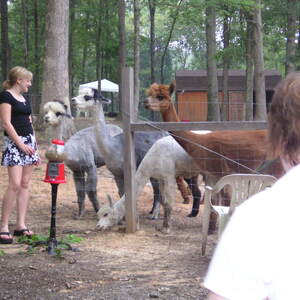 pict0052.jpg