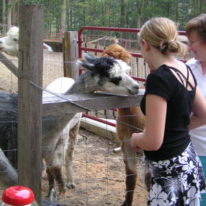 pict0056.jpg