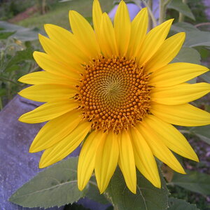 pict0069.jpg