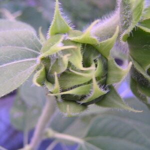 pict0072.jpg