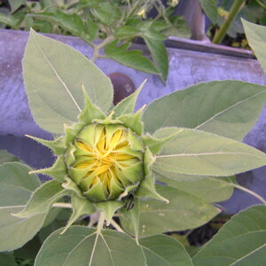 pict0073.jpg
