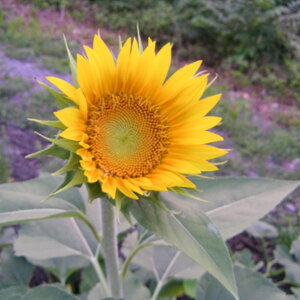 pict0075.jpg