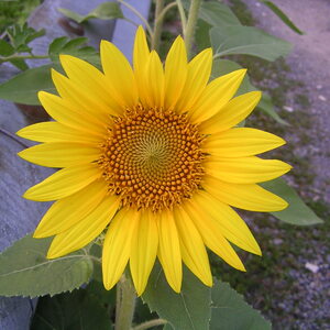 pict0076.jpg