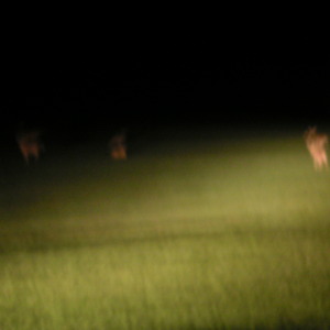 pict0079.jpg